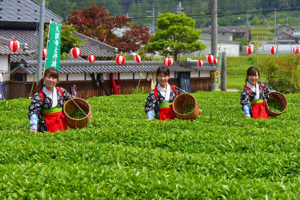 第39回大国寺と丹波茶まつり イベント 丹波篠山市 丹波市の丹波地域の観光や旅行の魅力を紹介する公式観光ポータルサイト