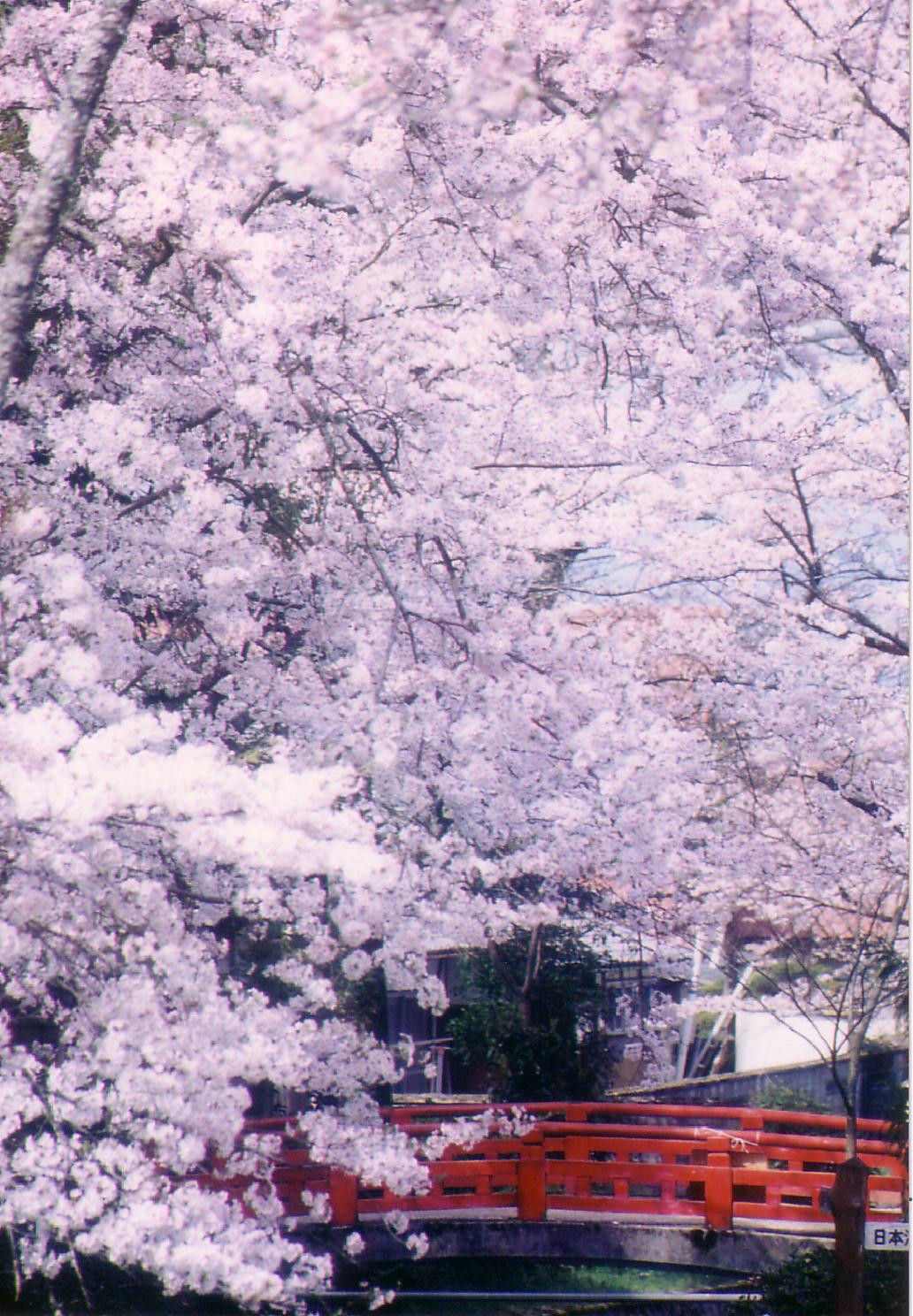 水分れ公園