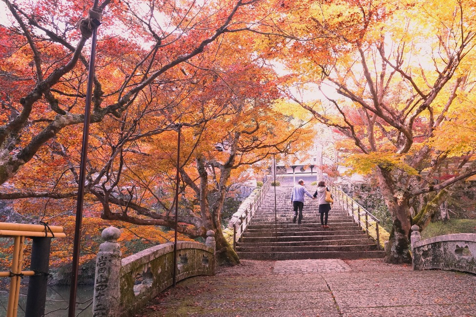 円通寺 もみじまつり 22 イベント 丹波篠山市 丹波市の丹波地域の観光や旅行の魅力を紹介する公式観光ポータルサイト