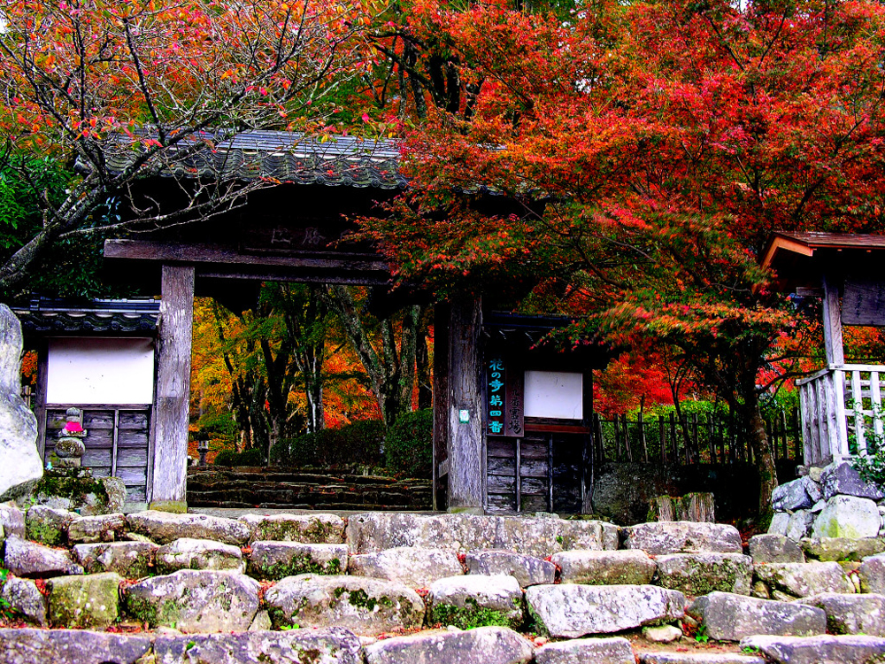 高源寺