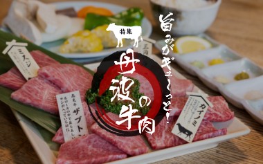 旨みがギュ～っと！丹波の牛肉