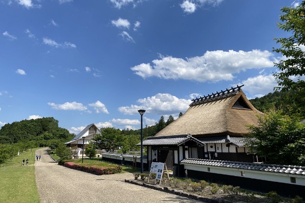 丹波並木道中央公園